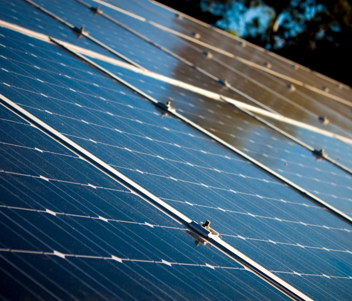 Primer plano de paneles solares azules instalados en un techo, con reflejos de luz solar sobre las celdas fotovoltaicas y árboles desenfocados al fondo